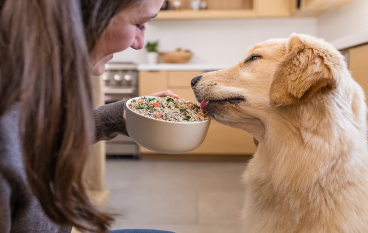 Happy dog beside Just Food For Dogs fresh meals