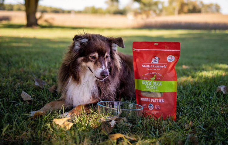 Happy dog with Stella & Chewy's Raw Duck Dinner Patties